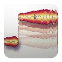 Melodyne icon